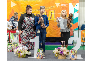 4 Группа FCI / BEST IN GROUP 4 FCI: 
1 место ТАКСА КРОЛИЧЬЯ ГЛАДКОШЕРСТНАЯ	-	AI BRAVUSHKI STEP BY STEP
2 место ТАКСА КРОЛИЧЬЯ ДЛИННОШЕРСТНАЯ	-	ВАЙВИТА БРУНО МАДЖИА