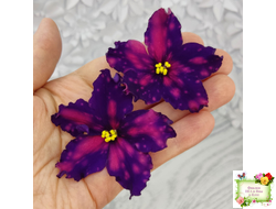 РС-Метагалактика (С. Репкина) 2018 г.