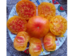 Томат Желтый камень (Yellow Stone)