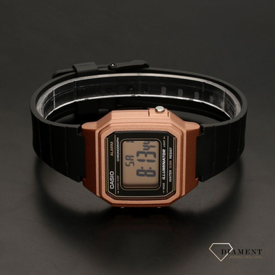 Часы Casio W-217HM-5A