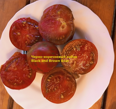 Томат Кабан чёрно-коричневый (Black and Brown Boar)
