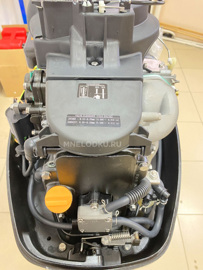 Лодочный мотор PARSUN F9.9BMS - MNELODKU.RU