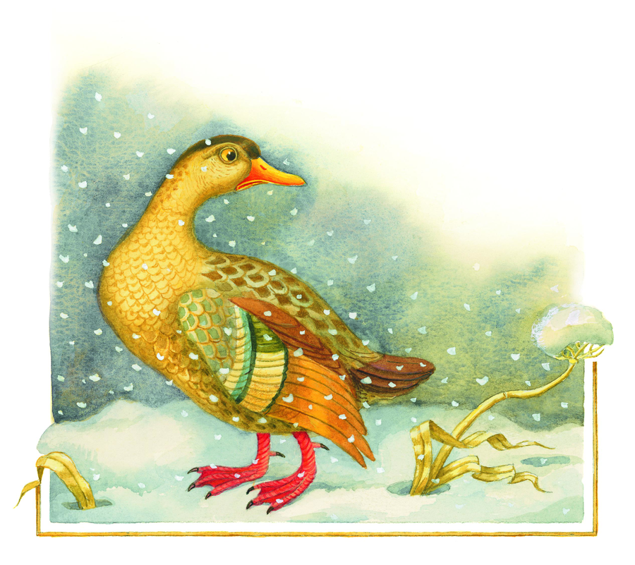 Картинки к сказке серая шейка для детей