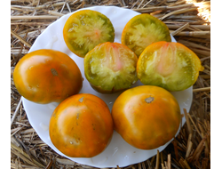 Томат Зеленая тайна мистера Граба (Grubs mysteri green) Австралия,