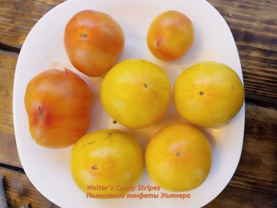 Томат Полосатые конфеты Уолтера (Walter’s Candy Stripes)