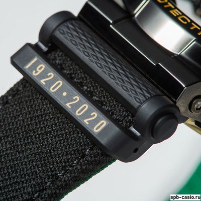 Часы Casio G-Shock GM-110NE-1AER