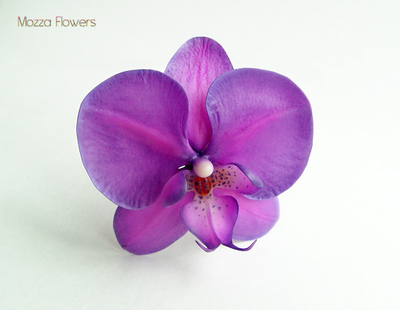 Орхидея "Ультрафиолет".