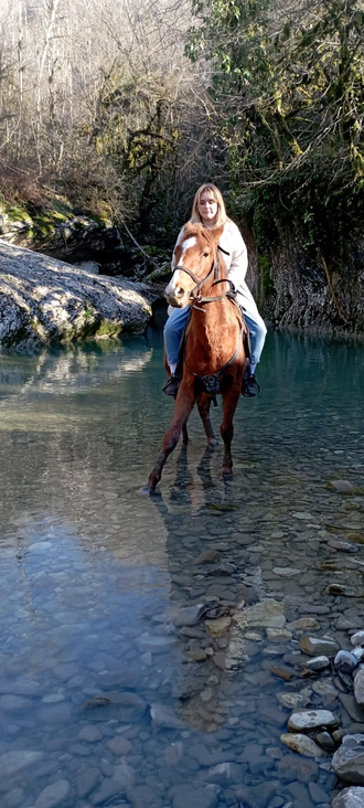 Конные прогулки в Сочи