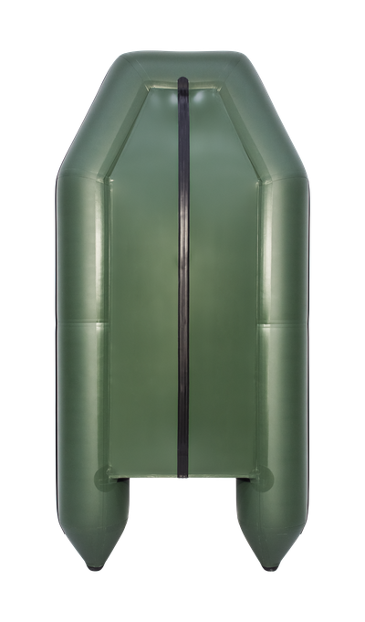 Моторная лодка Аква 2900 слань-книжка киль зеленый