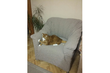 Чехол на кресло Модерн Какао