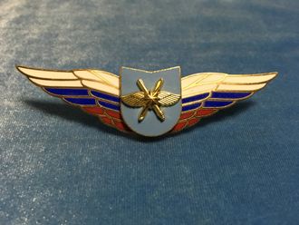 Должностной знак командира учебной части ВКС