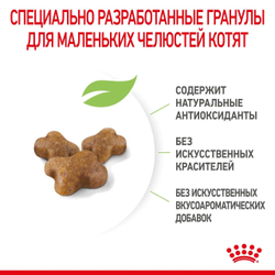 Royal Canin (Роял Канин) Kitten 36 Second Age Сухой корм для котят в возрасте от 4 до 12 месяцев, 1,2 кг