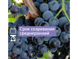 Левокумский