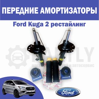 Передние амортизаторы Ford Kuga 2  комплект  Monroe + Lemforder