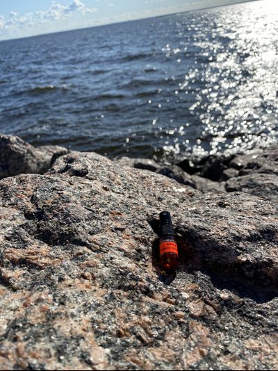 Духи АККОРД: ТЁМНОЕ ПРОШЛОЕ 2,5 мл