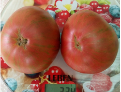 Томат Темная королева (Dark Queen), США