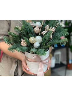 Композиции с Нобилисом  (Датская  ель)