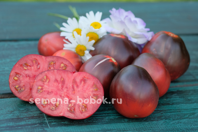 Томат Синяя Груша, 10 шт.