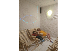 Программа "DETOX" - очищение организма от шлаков