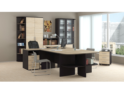 Композиция Успех-2 Венге Цаво/Дуб Сонома