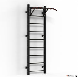 Шведская стенка 2в1 "Стандарт" с навесным оборудованием, черный