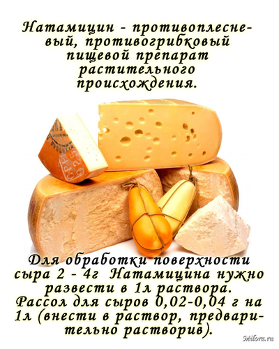 Применение натамицина в сырных продуктах.Milora.ru