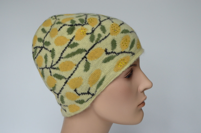 Итальянская шапка с лимонами Vizio 2023 - 2024