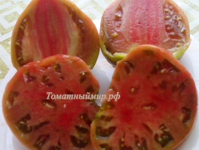 Томат Тундра (Tundra), Канада