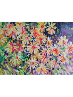 Желтые ромашки