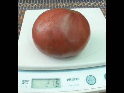 Томат Фиолетовая клубника, (Purple Strawberry) США