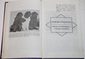 Бендьюр Джоан К. Ньюфаундленд. М.: Центрполиграф. 1997 г.