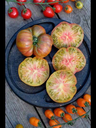 Томат Ярсон 7/1 (Jarson 7/1), 10 шт