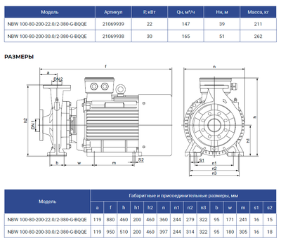 NBW 100-80-200-22.0/2-G