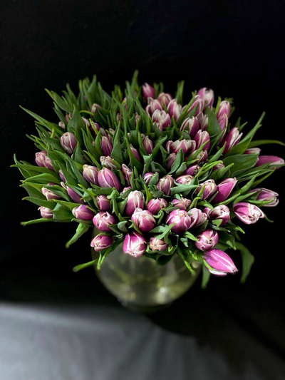 Тюльпаны пионовидные 51 шт