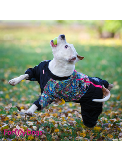 Комбинезон для больших собак Бута мультиколор