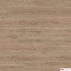 Декор ламината Haro Дуб Венето Кремовый 541585 фронт