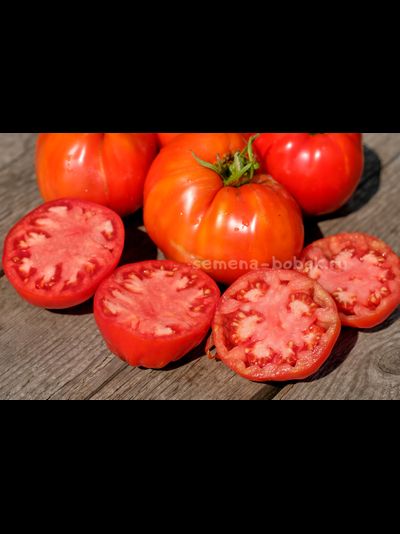 Томат Катапано (Сatapano), 10 шт