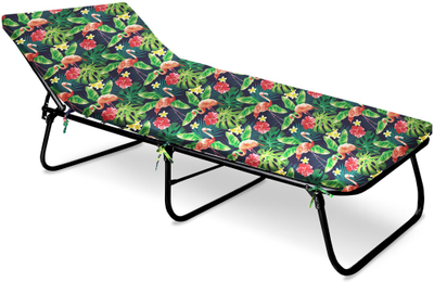 Кровать раскладная Haushalt с мягким матрасом НРК4М, рисунок с фламинго