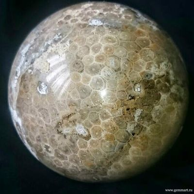 Коралл замещенный кварцем, шар. Около 100мм.