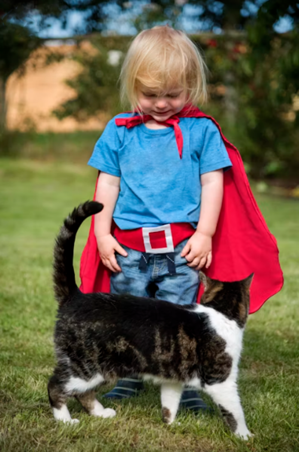 Что снится кошке? Видит ли кошка сны? Узнать в статье Cat'scorner