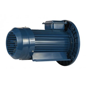 Электродвигатель 5АИ 90L6 (1,5 кВт)