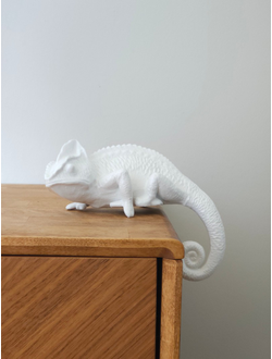 Хамелеон (интерьерный)