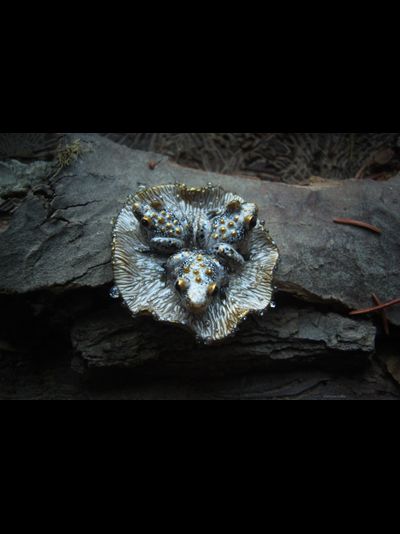 &quot;Дочери лесного царя&quot;, волшебная брошь с лягушками и каплями (миниатюра, 4 см)