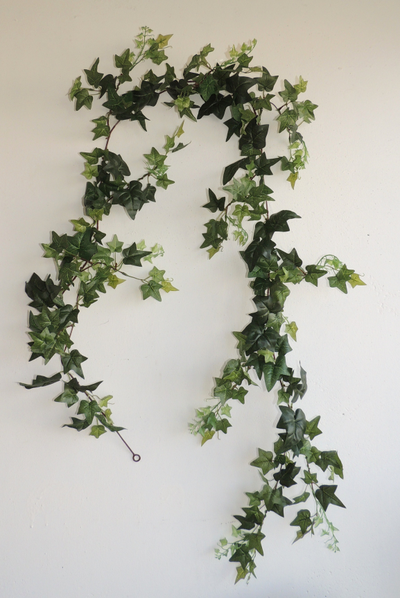 Лиана Плюща  № Л 002