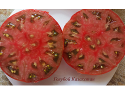 Томат Голубой Казахстан (Blaue Kasachstan)