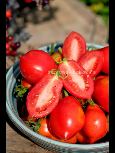 Томат Краса Кургана, 10 шт
