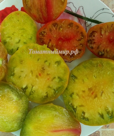 Томат Тайга (Taiga)