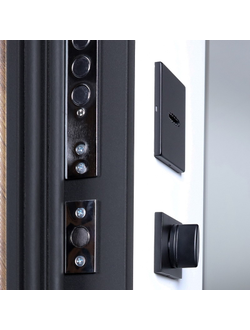 Стальная дверь   Plata с зеркалом (биометрический замок Smart lock DZ 888)