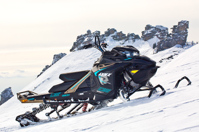 Копия заводских наклеек Lynx BOONDOCKER DS 3900 2017#3023