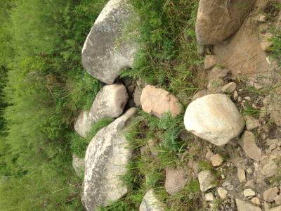 Речной валун